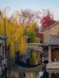 濟南-淄博3日遊不踩雷攻略來啦