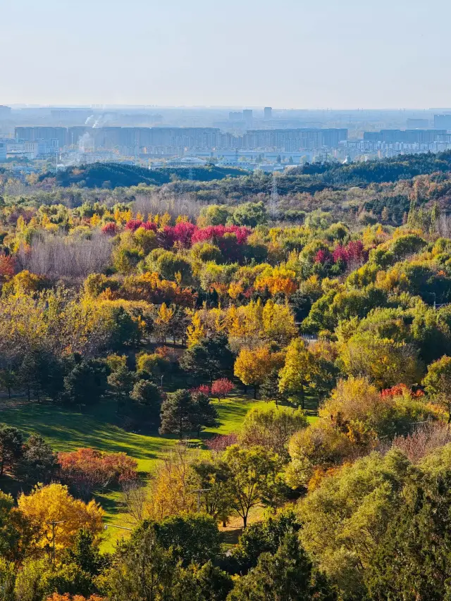 假期避世遊：藏在京郊的雁棲湖西山步道，人少景淨超解壓