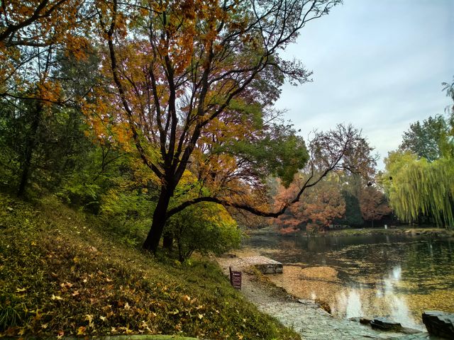 立冬時節的頤和園美圖