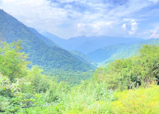 暮光森林秘境 暮光森林秘境