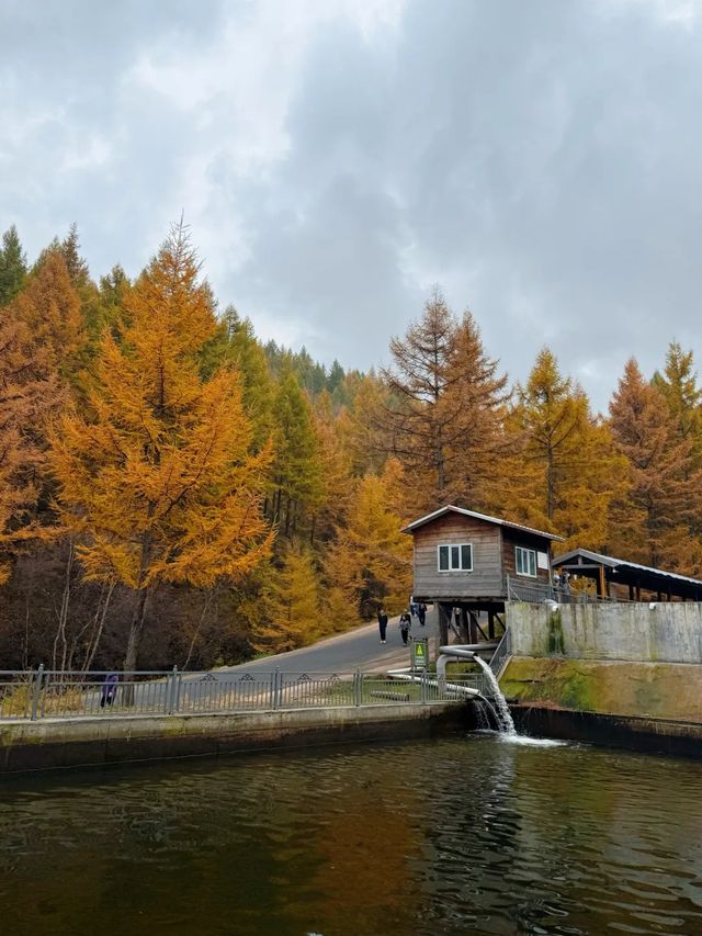 內蒙古蘇木山,墜入北境金色油畫 內蒙古蘇木山,墜入北境金色油畫