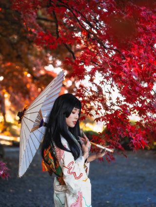 소수만 아는 절경! 일본 인파를 피한 가을 단풍 비밀 명소