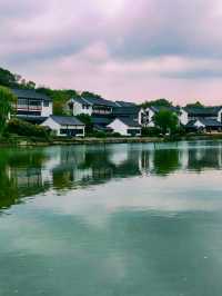 紹興秋日限定：20min高鐵直達，銀杏古寺醉江南