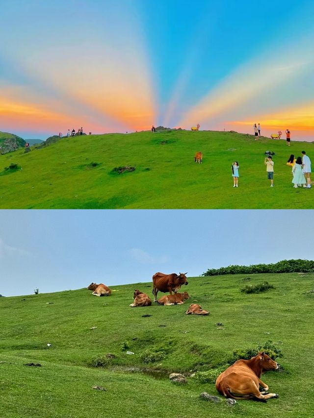 逃離城市當「牛馬」，奔赴大姆山的草甸狂歡