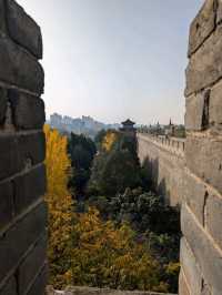 Ancient Walls, Timeless Views - A Walk Through History in Xi'an