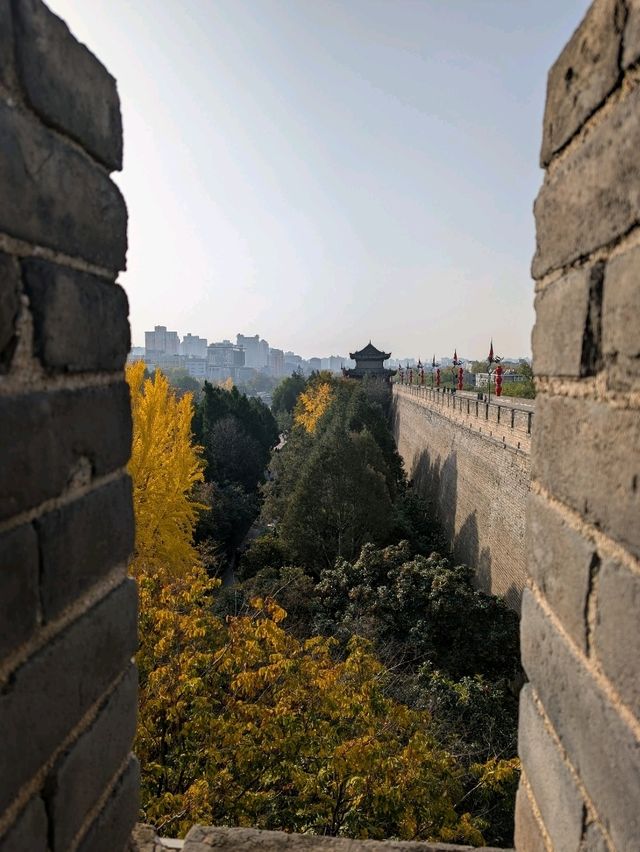 Ancient Walls, Timeless Views - A Walk Through History in Xi'an