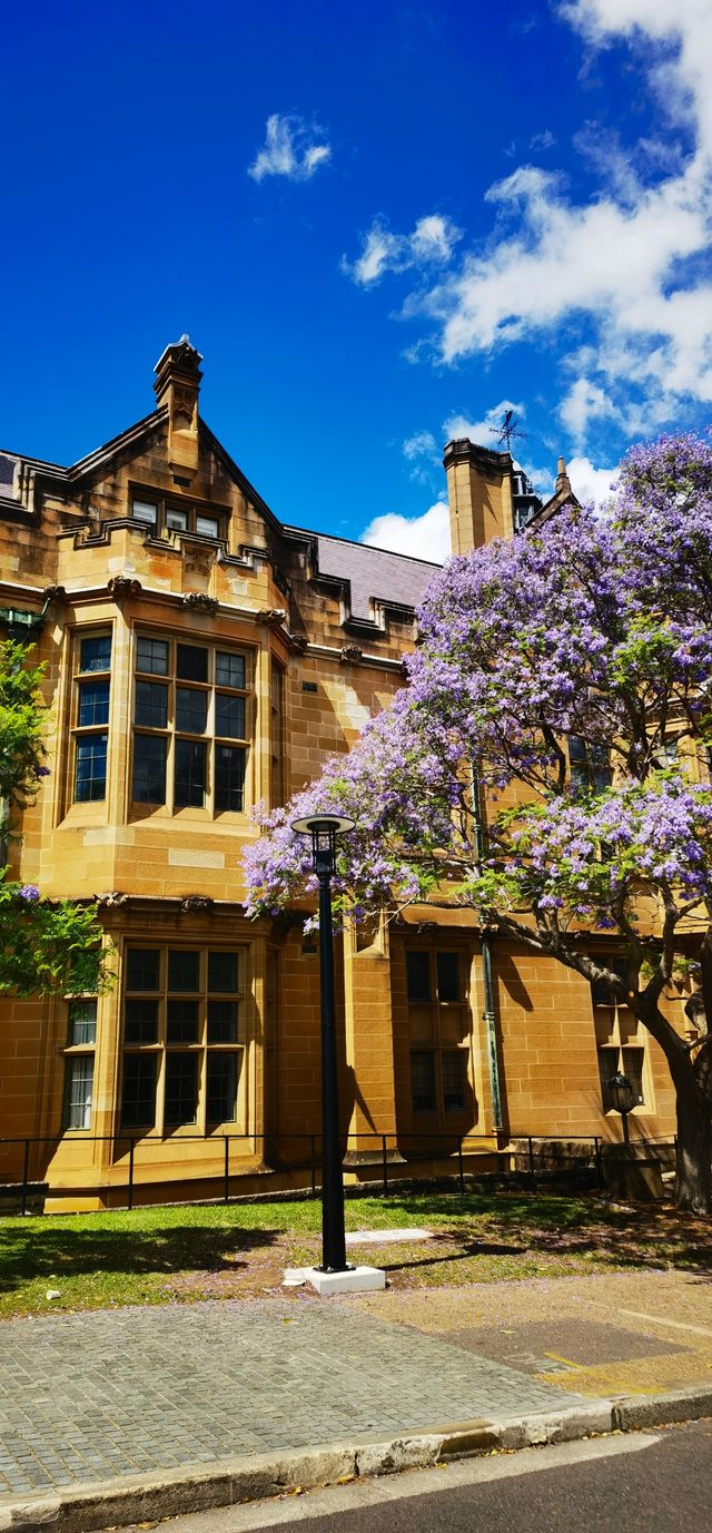 最美的學府 最美的學府