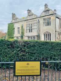 Impressive Afternoon Tea Experience