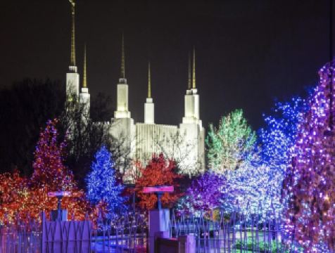 The 48th Annual Kensington Light Festival Returns