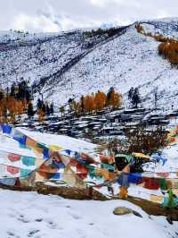 川西冬日天花板！木格措靚到令人詞窮