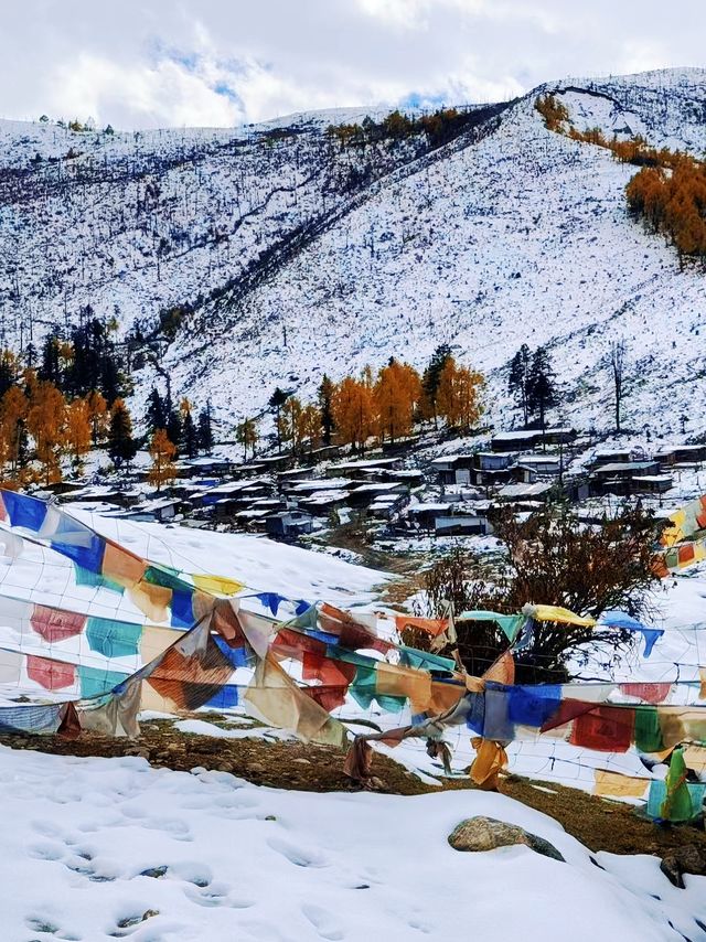 川西冬日天花板！木格措靚到令人詞窮