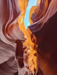 19天美國東西岸+黃石國家公園攻略（上）