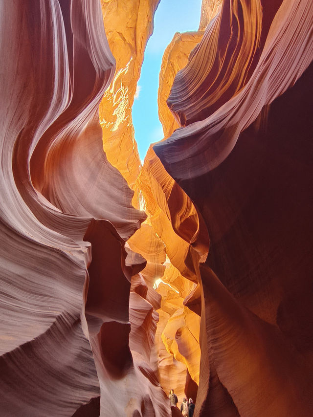 19天美國東西岸+黃石國家公園攻略（上）