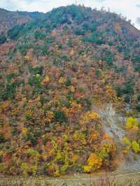 第四次往返平武，我推薦這個遊玩路線