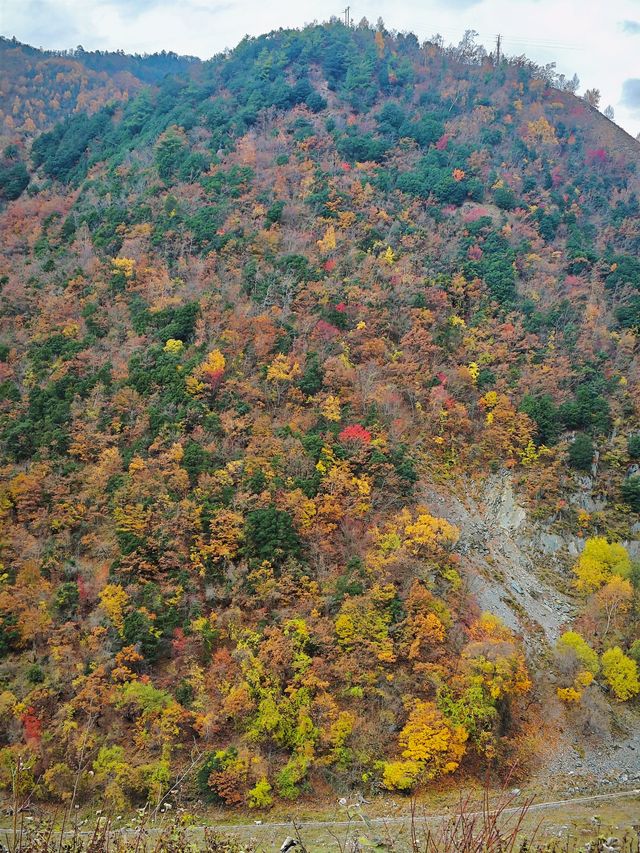 第四次往返平武，我推薦這個遊玩路線