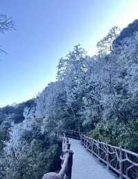 誰懂啊！莽山2025首場霧凇美哭😭 住呢間民宿直接瞓喺度睇冰雪仙境