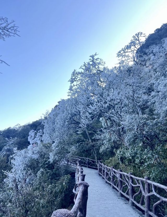 誰懂啊！莽山2025首場霧凇美哭😭 住呢間民宿直接瞓喺度睇冰雪仙境