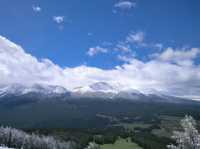 被喀納斯的美震撼到說不出話這才是新疆旅遊的天花板,阿勒泰皇冠上的明珠說的就是這裡吧 【必