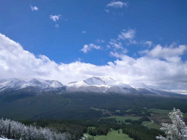 被喀納斯的美震撼到說不出話這才是新疆旅遊的天花板,阿勒泰皇冠上的明珠說的就是這裡吧 【必 被喀納斯的美震撼到說不出話這才是新疆旅遊的天花板,阿勒泰皇冠上的明珠說的就是這裡吧 【必