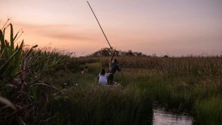 Searching for Jaguars in the Iberá Wetlands of Argentina