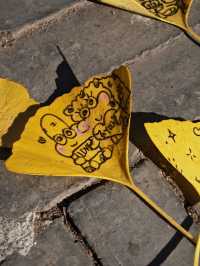 西昌秋旅藏驚喜!和悅庭院的銀杏,竟成手作限定浪漫