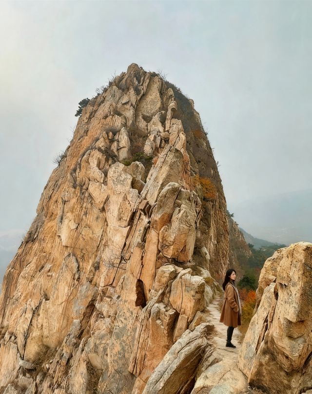 煙台龍口4km徒步封神線!野趣出片雙在線 煙台龍口4km徒步封神線!野趣出片雙在線