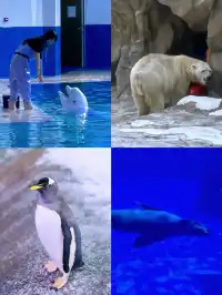 陵水親子酒店天花板現實版童話宮殿