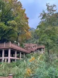 赴約山海｜台州自駕行程記錄（寵物友好版）