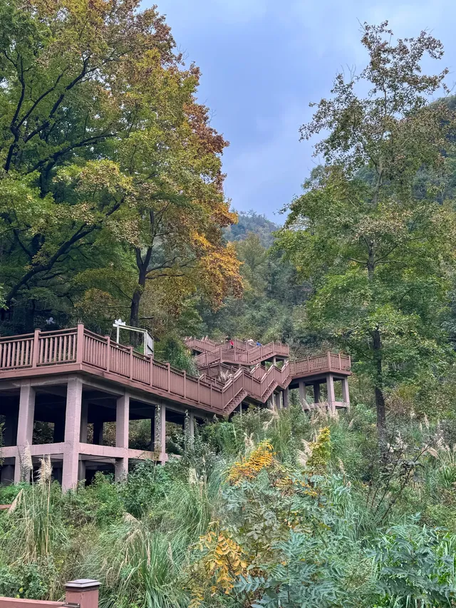 赴約山海｜台州自駕行程記錄（寵物友好版）