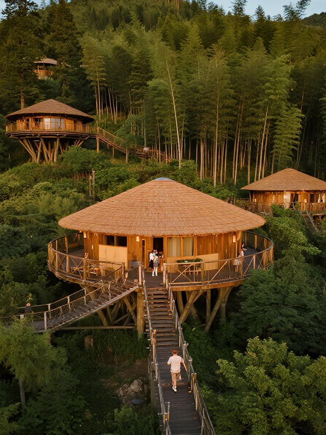 莫干山親子頂流！開元森泊帶娃玩到不想走