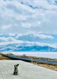 廣州出發！3天往返，直飛自駕看盡冰島藍冰