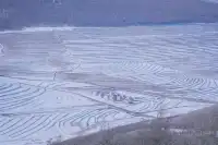 不想上班的小張今天去樺皮嶺