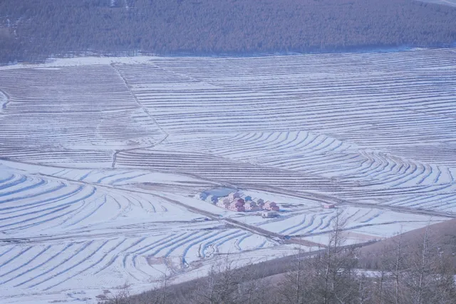 不想上班的小張今天去樺皮嶺 不想上班的小張今天去樺皮嶺
