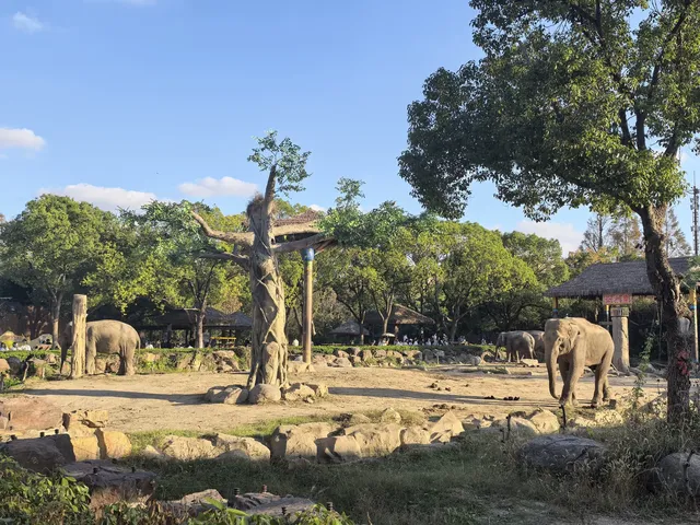 謝謝上野送的生日禮物~今天的快樂是免費哒 謝謝上野送的生日禮物~今天的快樂是免費哒
