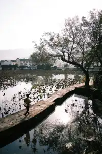 南京周邊遊番外篇1：皖南秋景之呈坎攻略