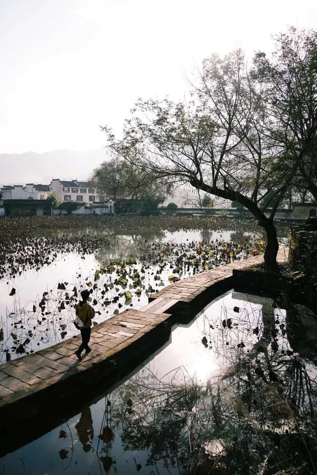 南京周邊遊番外篇1：皖南秋景之呈坎攻略