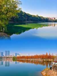 長沙迎來封神的秋天，這些地方真的超美！