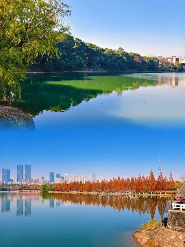 長沙迎來封神的秋天，這些地方真的超美！