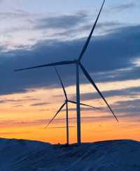 呼倫貝爾秋日漫遊指南:邂逅北國祕境的金色童話