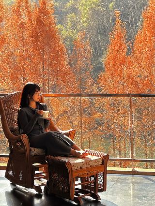 Next, what I'm most looking forward to is Jing'an Little Altay!!