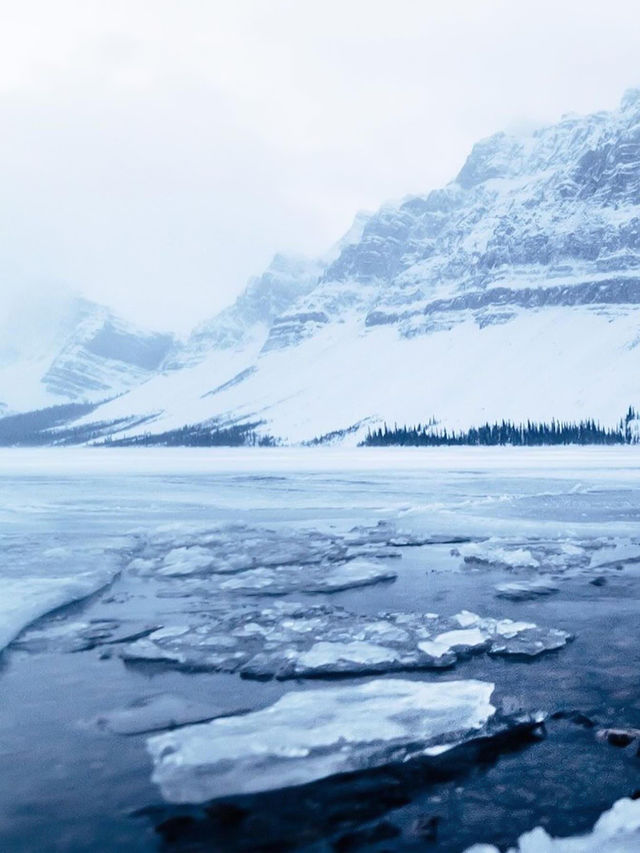 暢玩班夫幽鶴賈斯珀！6人純玩團住雪景木屋