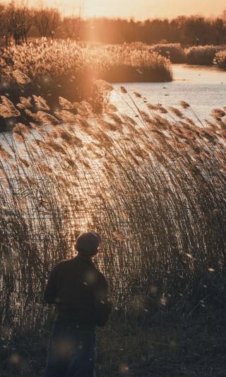 Beijing Winter Secret Realm｜Step into the Breathing Reed Snowfield
