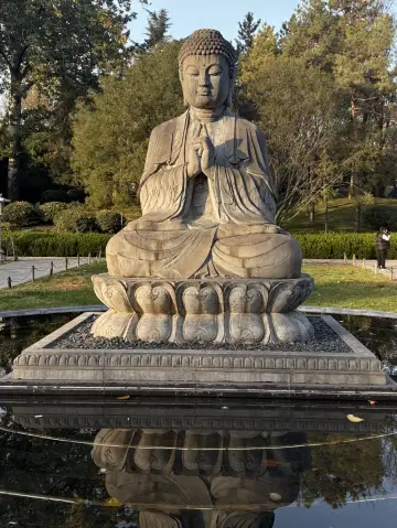 Xi'an + Hukou 4 Days｜20-Person Group 2+1 Bus