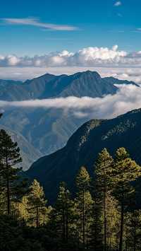 巍山古城:感受六百年南詔時光的慢生活