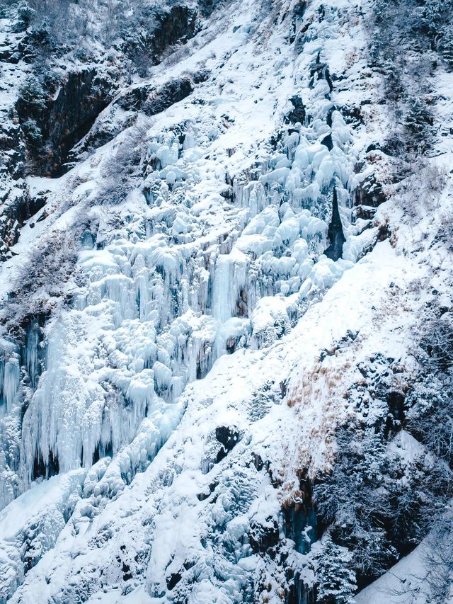 5天雨崩徒步全攻略!新手也能衝的神仙路線 5天雨崩徒步全攻略!新手也能衝的神仙路線