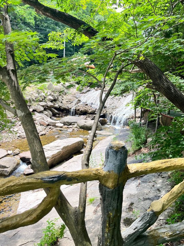 浙南秘境龍灣潭在千米懸空棧道看絕美飛瀑 浙南秘境龍灣潭在千米懸空棧道看絕美飛瀑