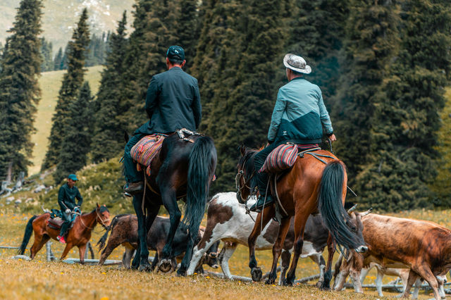 昌吉等地10日遊 保姆級攻略來啦
