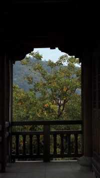 西湖邊隱秘觀景台，一些西湖的其他角度