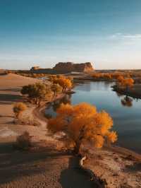 三大胡楊林親子賞秋對比國慶遛娃攻略