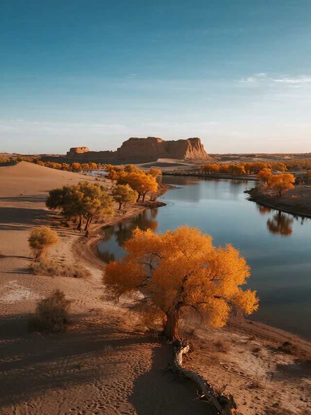 三大胡楊林親子賞秋對比國慶遛娃攻略
